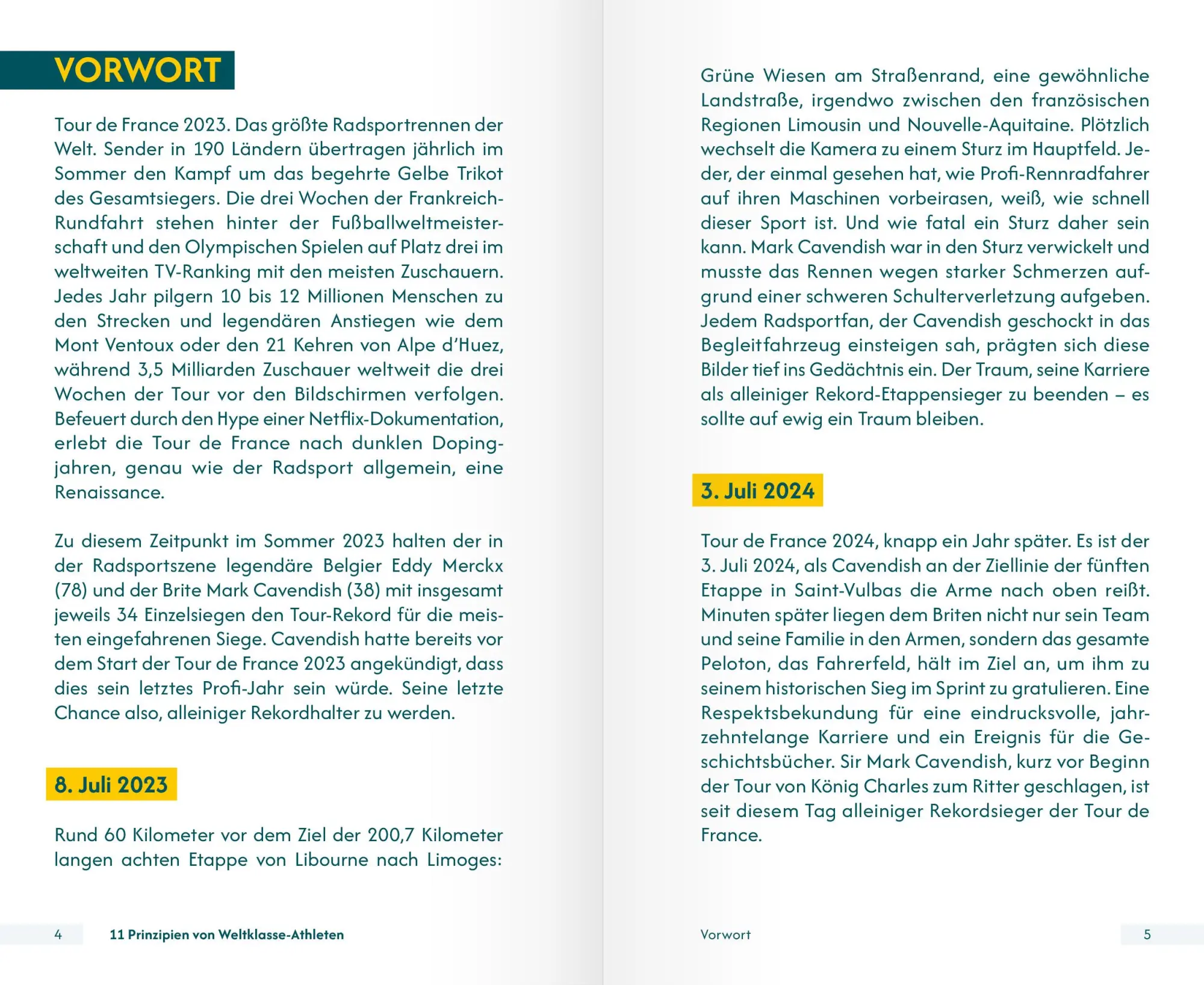 Bild: 9783964160911 | 11 Prinzipien von Weltklasse-Athleten | Dirk Lion | Taschenbuch | 2025