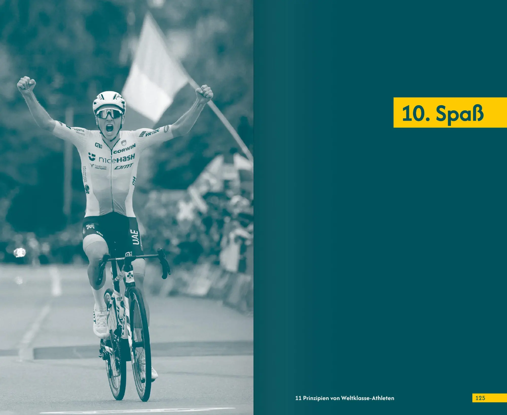 Bild: 9783964160911 | 11 Prinzipien von Weltklasse-Athleten | Dirk Lion | Taschenbuch | 2025
