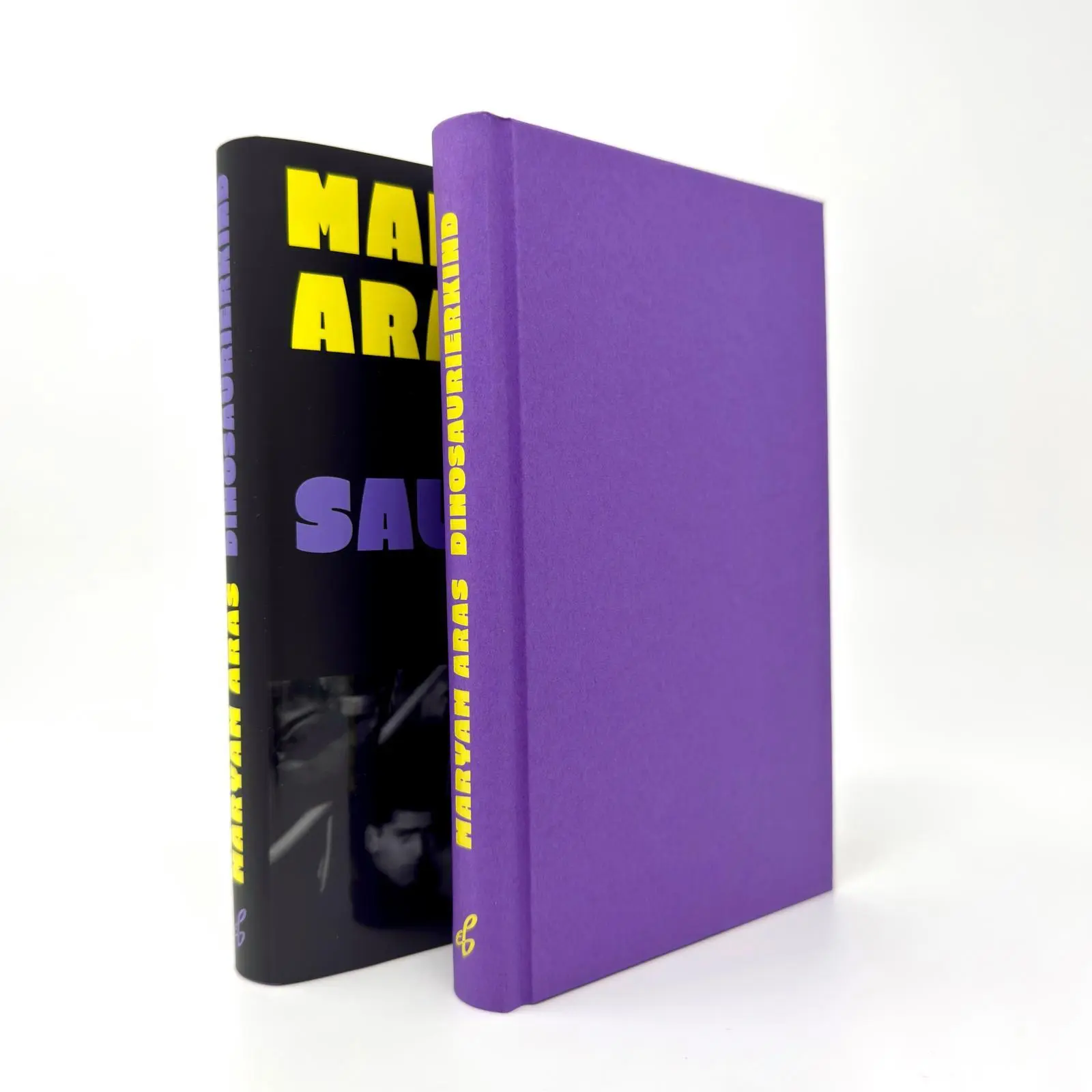 Bild: 9783546101011 | Dinosaurierkind | Maryam Aras | Buch | 192 S. | Deutsch | 2025