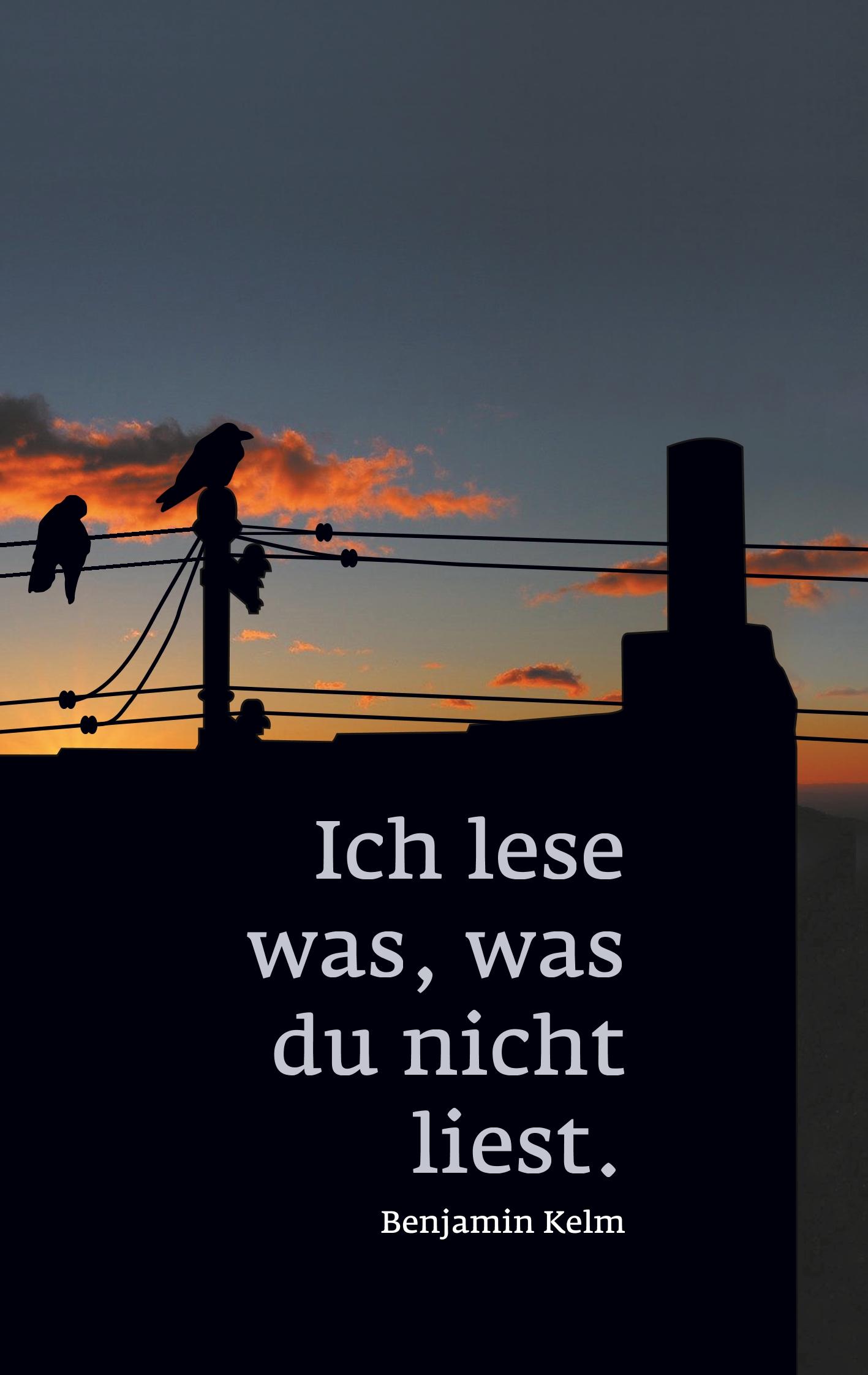 Cover: 9783750421011 | Ich lese was, was du nicht liest. | Benjamin Kelm | Taschenbuch | 2020