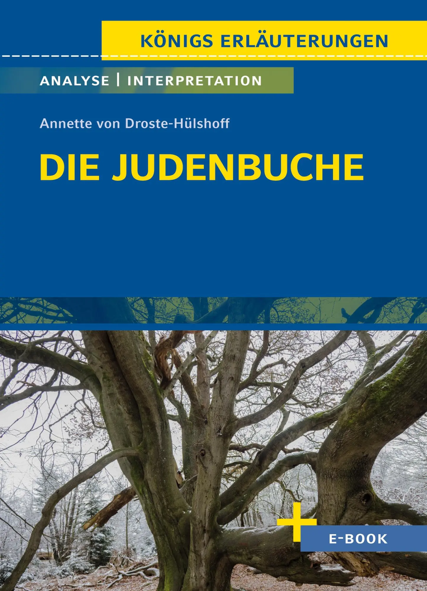 Cover: 9783804421011 | Die Judenbuche von Annette von Droste-Hülshoff - Textanalyse und...