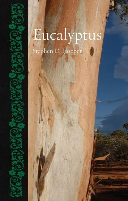 Cover: 9781836391111 | Eucalyptus | Stephen D Hopper | Buch | Einband - fest (Hardcover)