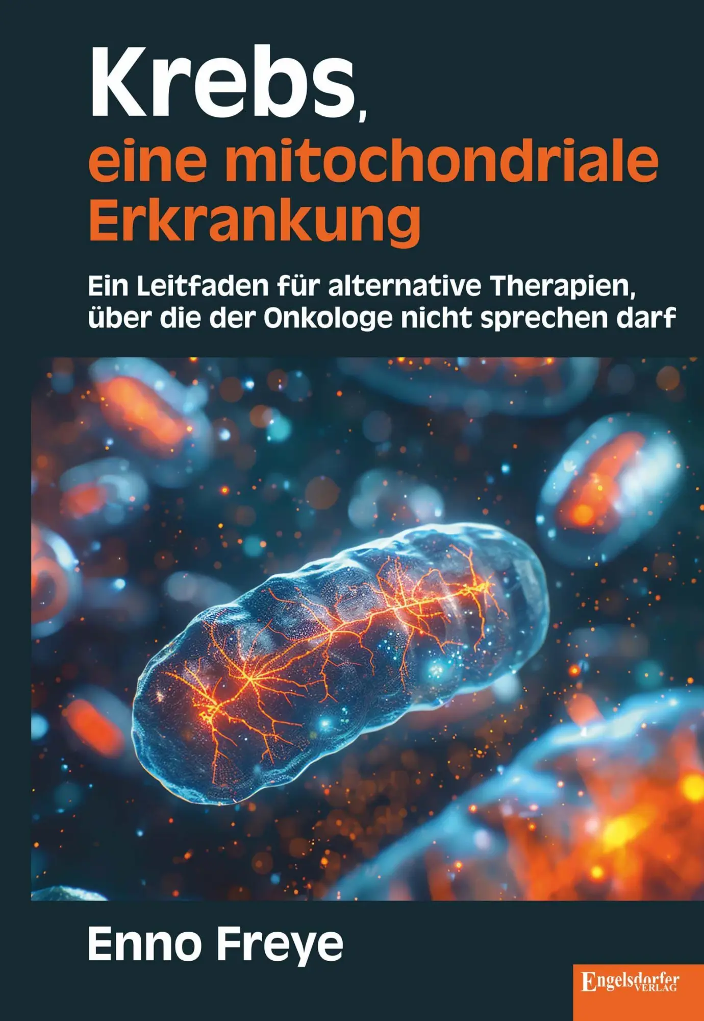 Cover: 9783690951111 | Krebs, eine mitochondriale Erkrankung | Enno Freye | Buch | Deutsch