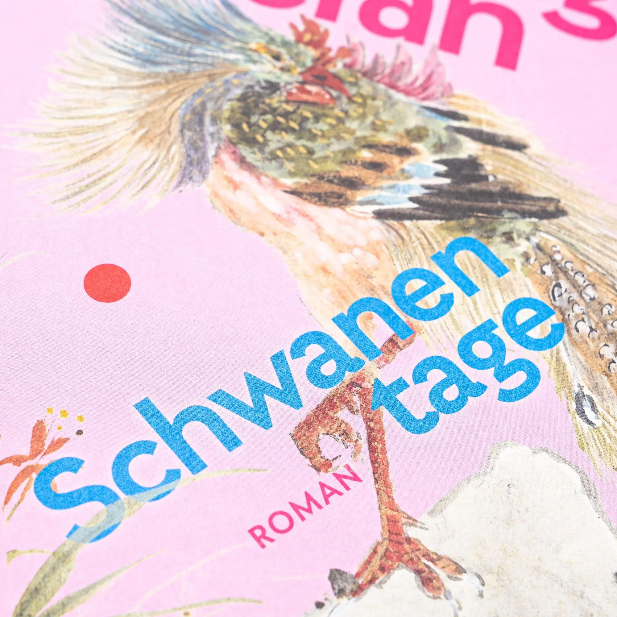 Bild: 9783753001111 | Schwanentage | Zhang Yueran | Buch | 224 S. | Deutsch | 2025 | Ecco