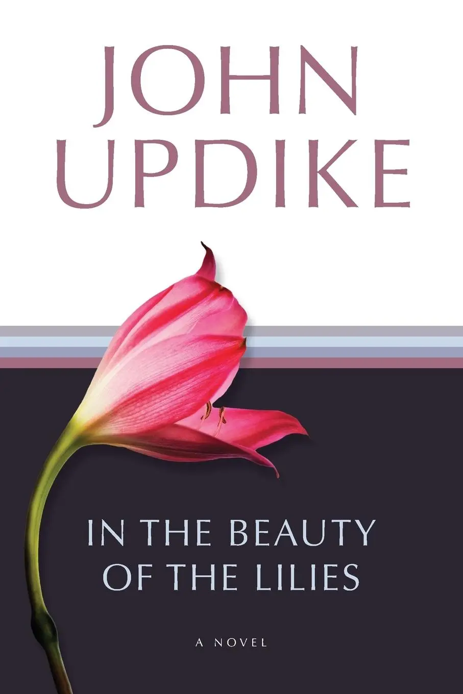 Cover: 9780449911211 | In the Beauty of the Lilies | A Novel | John Updike | Taschenbuch