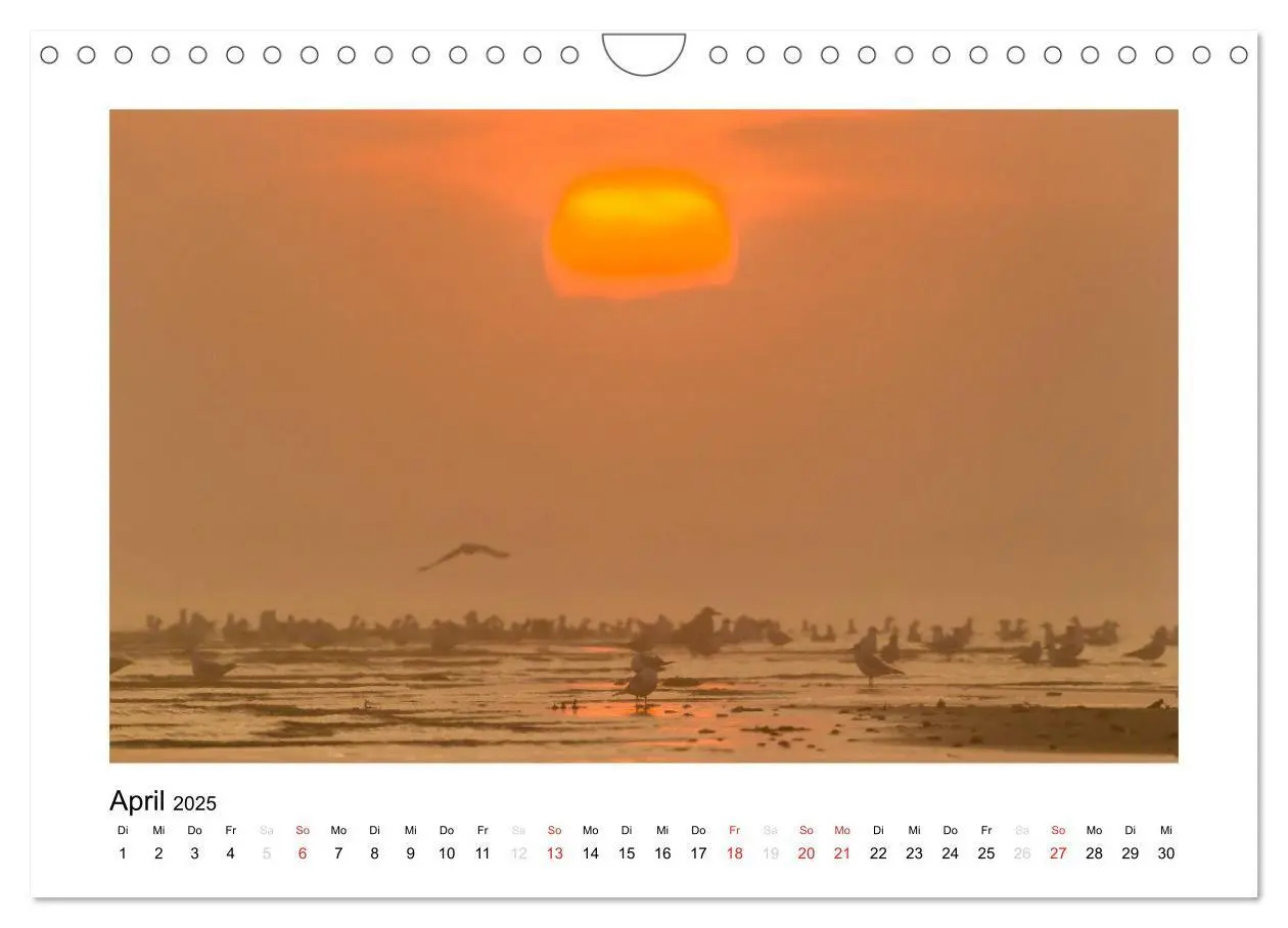 Bild: 9783435671311 | FEHMARN - Magische Momente (Wandkalender 2025 DIN A4 quer),...