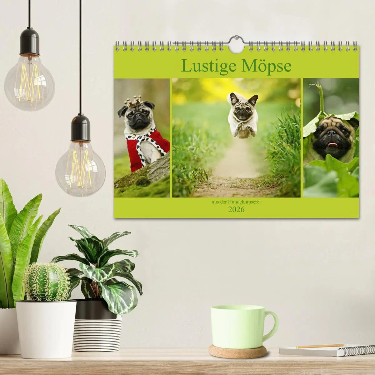 Bild: 9783457901311 | Lustige Möpse aus der Hundeknipserei (Wandkalender 2026 DIN A4...