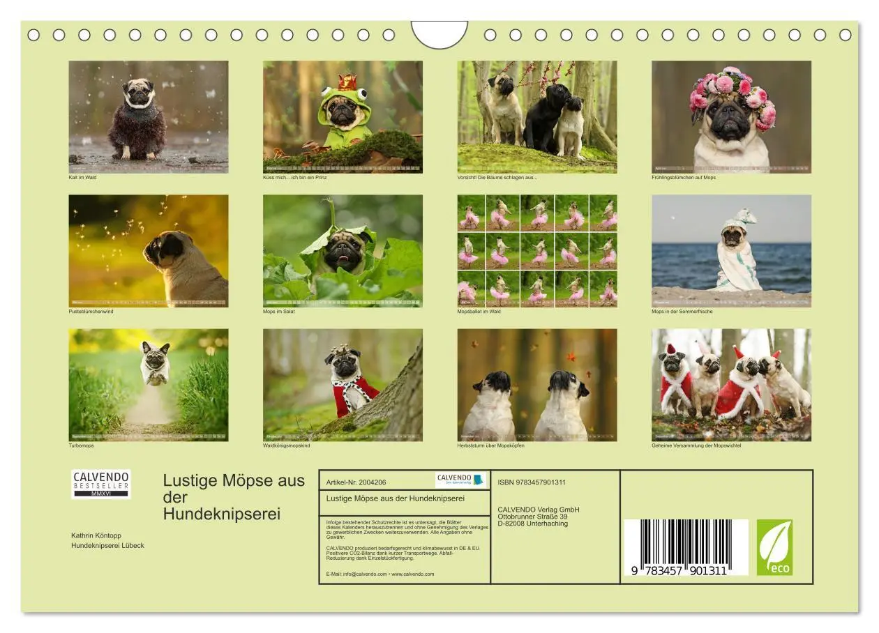 Bild: 9783457901311 | Lustige Möpse aus der Hundeknipserei (Wandkalender 2026 DIN A4...