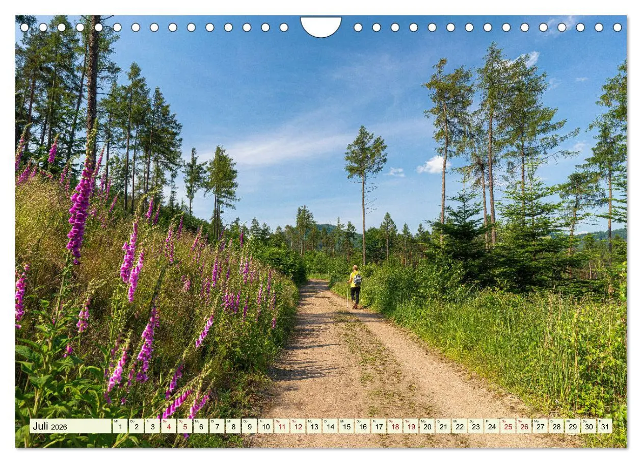 Bild: 9783457371411 | Zittauer Gebirge-Urlaubsromantik und Wanderparadies (Wandkalender...