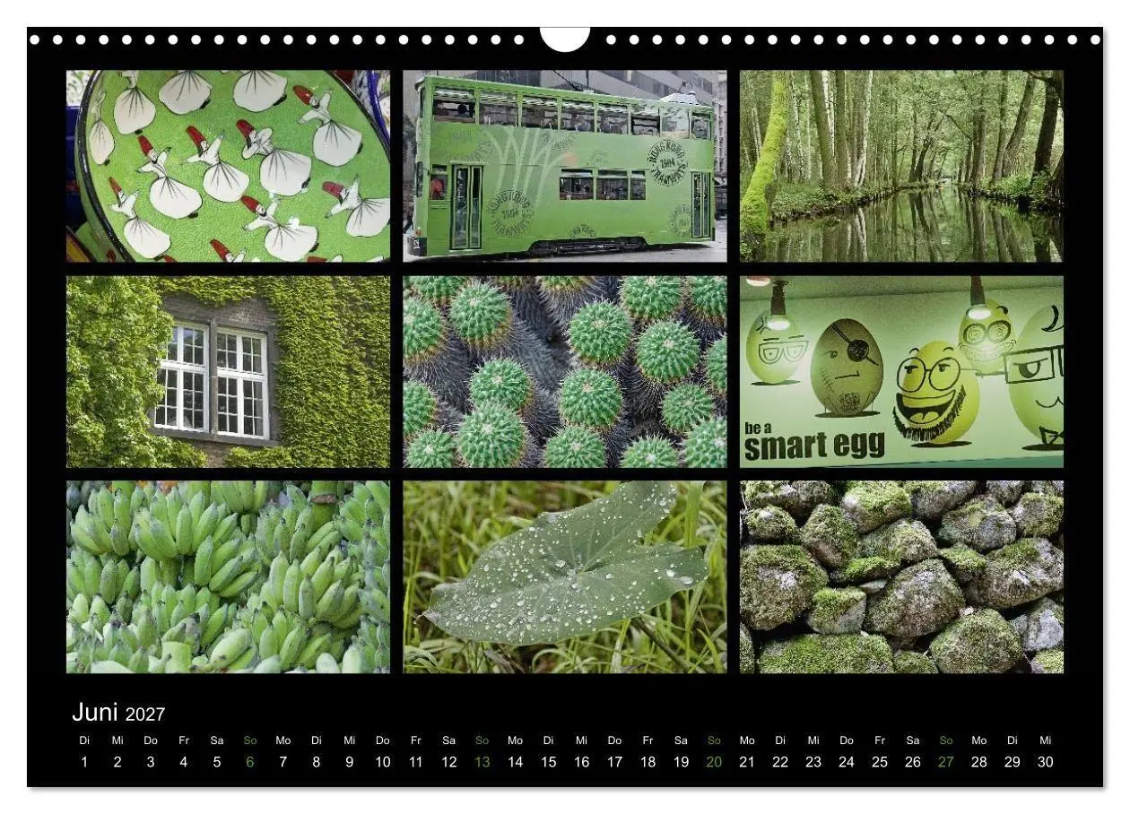 Bild: 9783594201411 | Colours (Wandkalender 2027 DIN A3 quer), CALVENDO Monatskalender