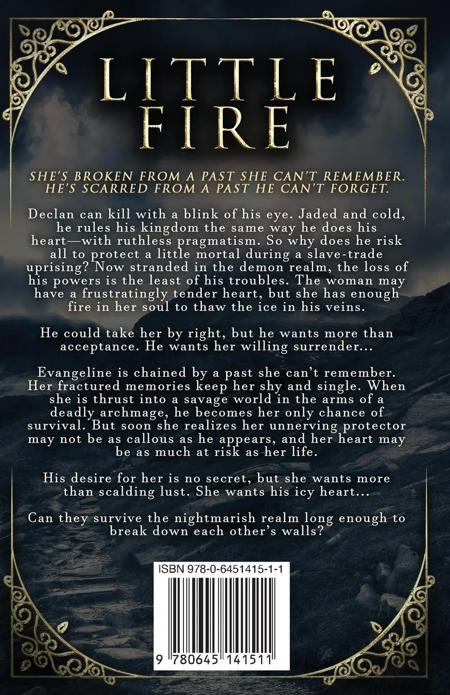Rückseite: 9780645141511 | Little Fire | Hollee Mands | Taschenbuch | Kartoniert / Broschiert