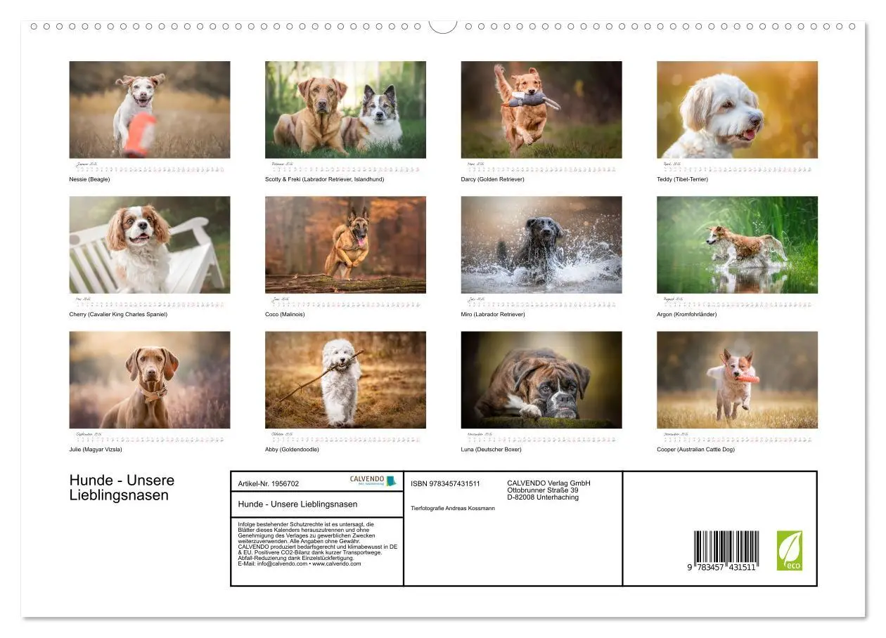 Bild: 9783457431511 | Hunde - Unsere Lieblingsnasen (hochwertiger Premium Wandkalender...