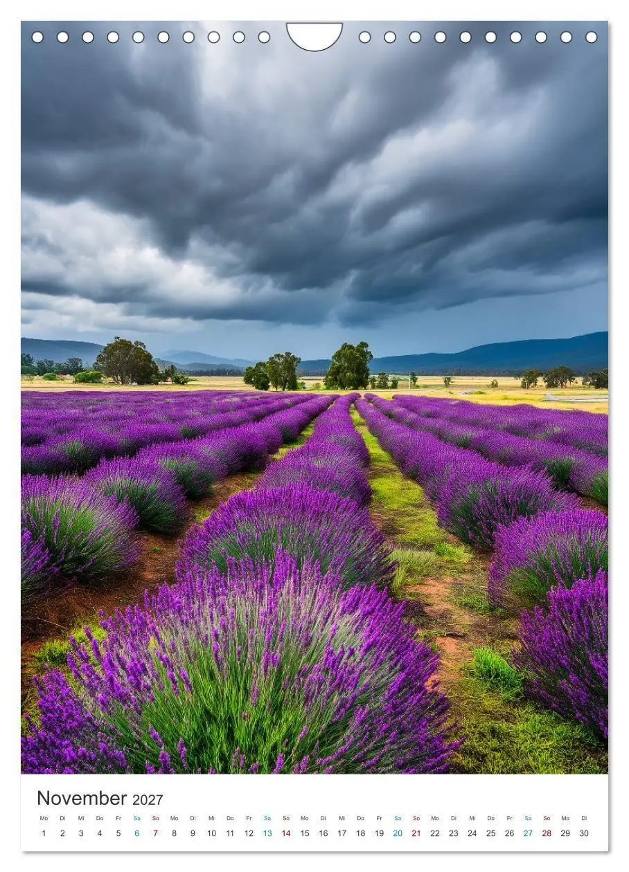 Bild: 9783516761511 | Der Sommer blüht violett (Wandkalender 2027 DIN A4 hoch), CALVENDO...