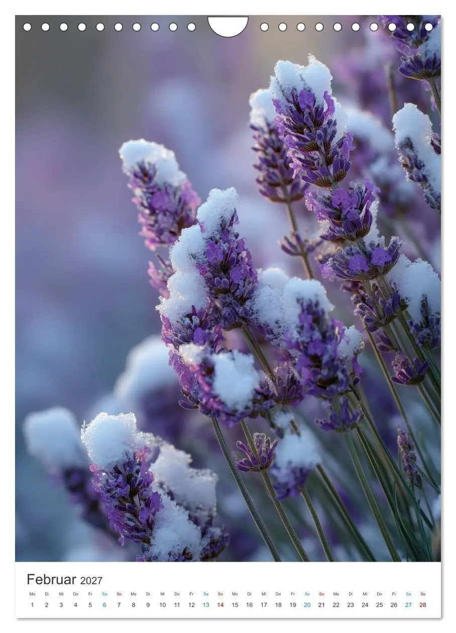 Bild: 9783516761511 | Der Sommer blüht violett (Wandkalender 2027 DIN A4 hoch), CALVENDO...