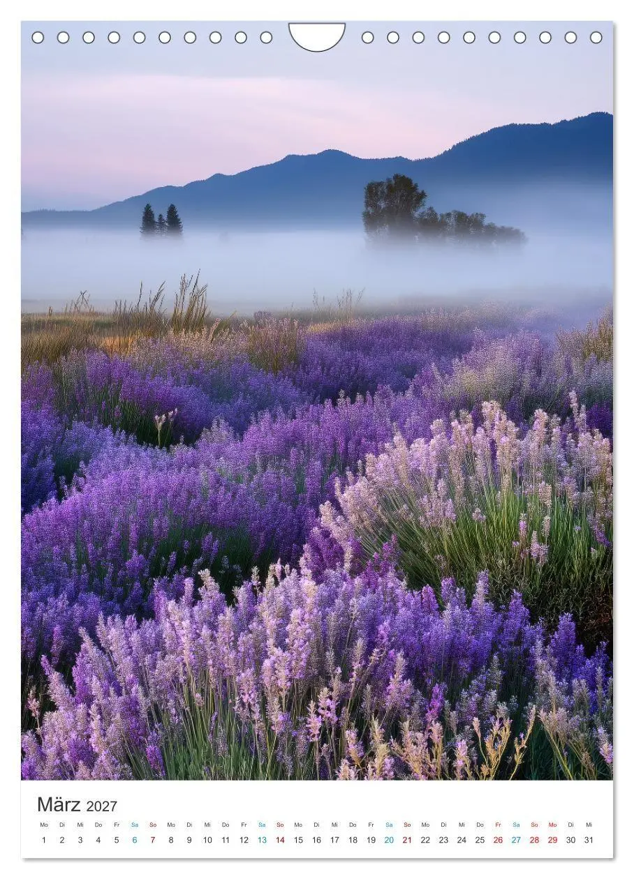 Bild: 9783516761511 | Der Sommer blüht violett (Wandkalender 2027 DIN A4 hoch), CALVENDO...