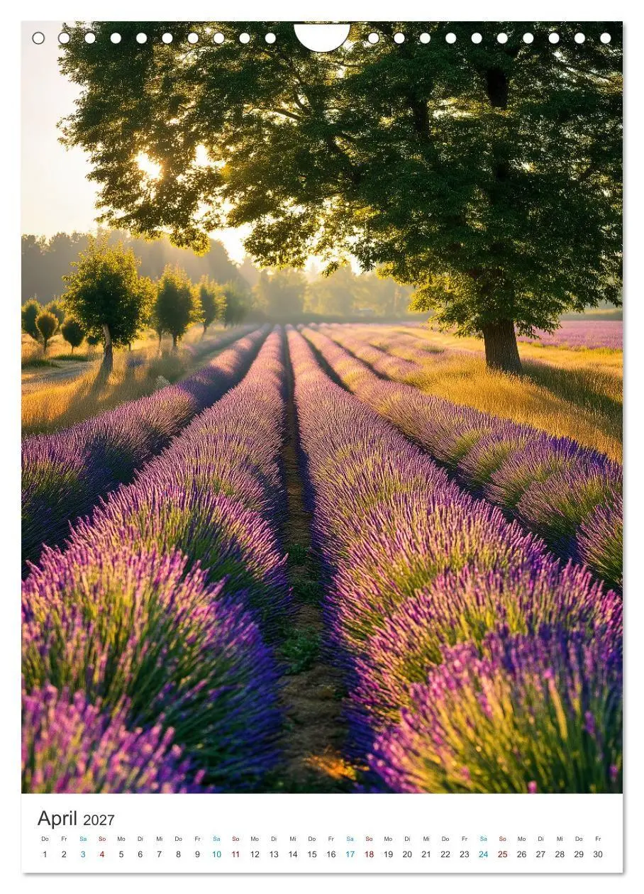 Bild: 9783516761511 | Der Sommer blüht violett (Wandkalender 2027 DIN A4 hoch), CALVENDO...