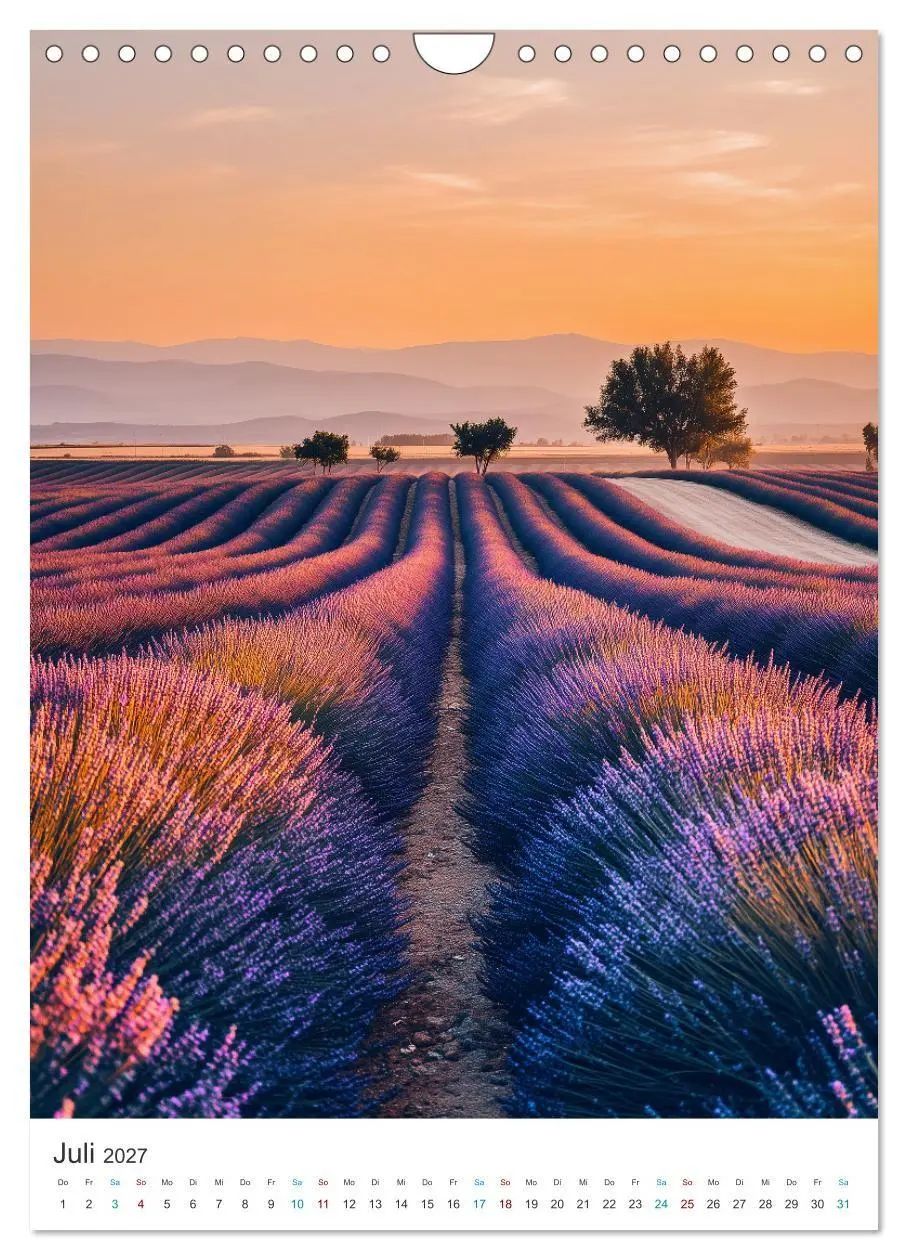 Bild: 9783516761511 | Der Sommer blüht violett (Wandkalender 2027 DIN A4 hoch), CALVENDO...