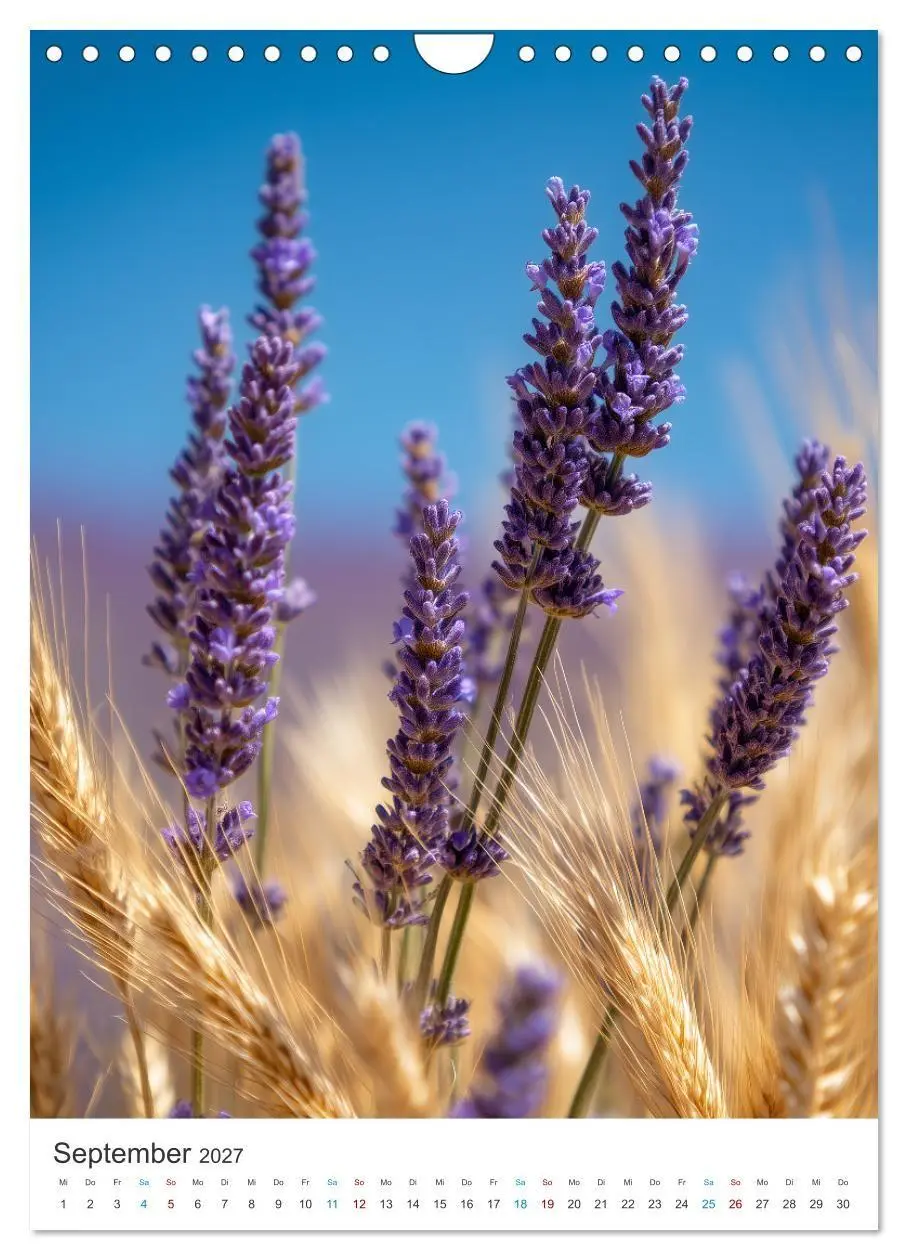 Bild: 9783516761511 | Der Sommer blüht violett (Wandkalender 2027 DIN A4 hoch), CALVENDO...