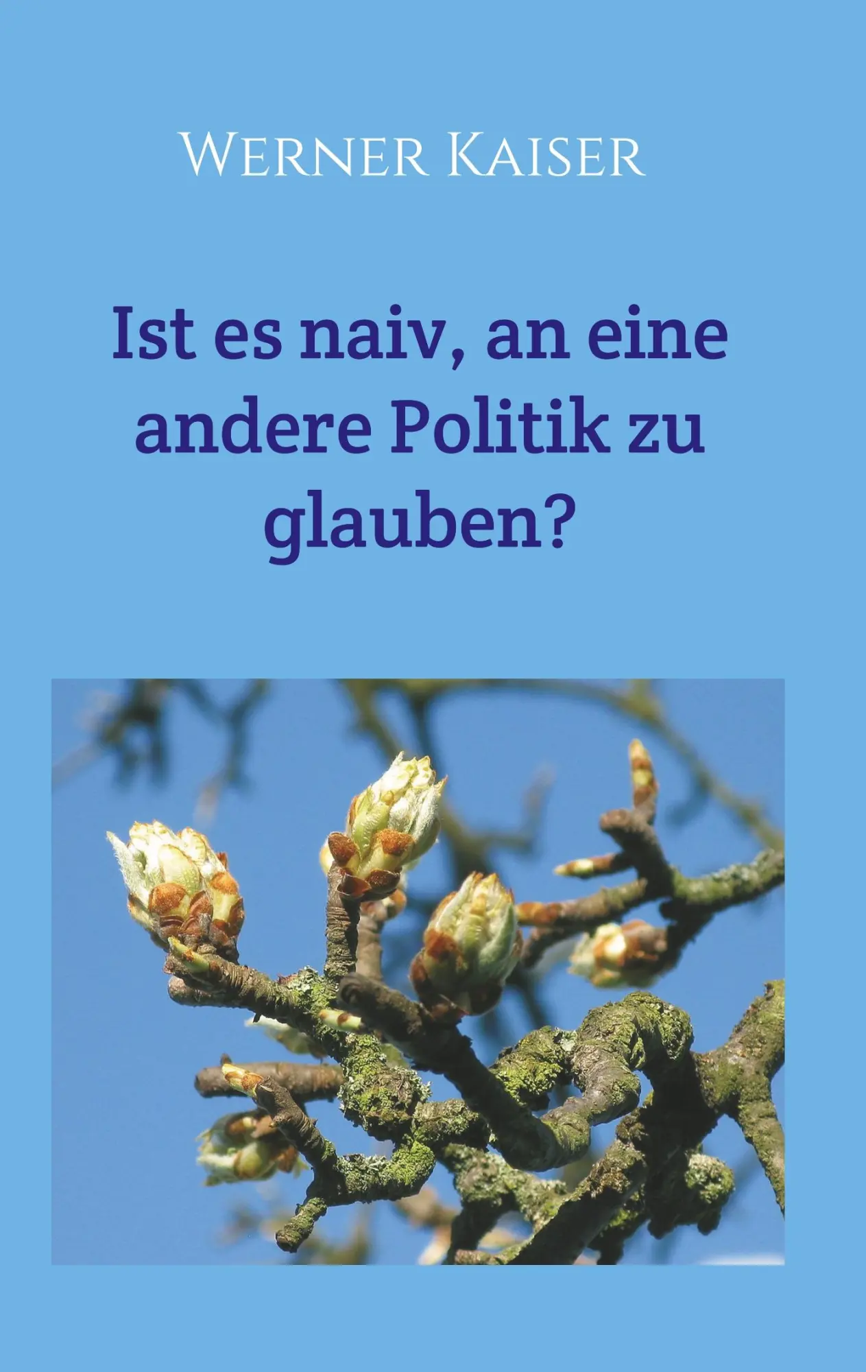 Cover: 9783749721511 | Ist es naiv, an eine andere Politik zu glauben? | Werner Kaiser | Buch