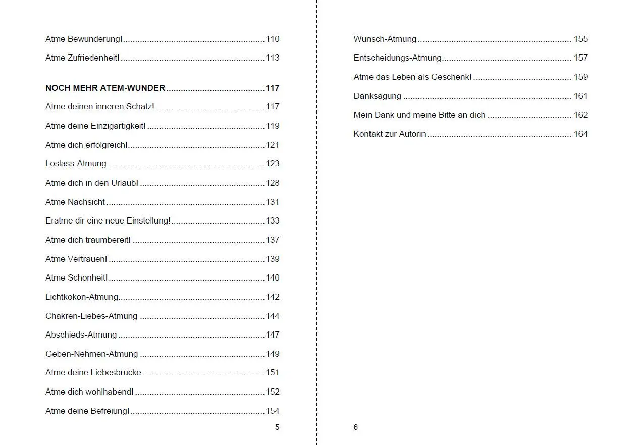 Bild: 9783967381511 | Deine Atmung - Das Tor zu Freiheit und Glück | Michelle Haintz | Buch