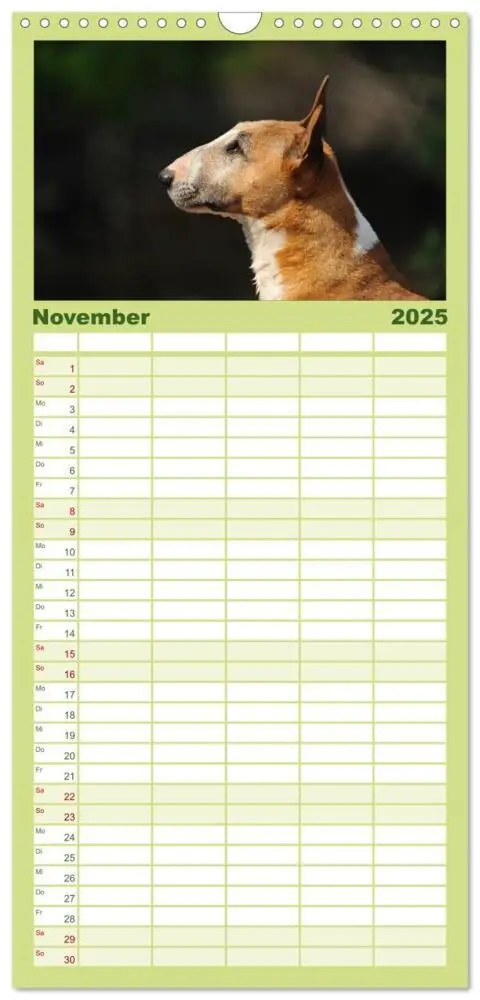 Bild: 9783457111611 | Familienplaner 2025 - Bullterrier 2025 - Kleine Clowns mit großem...