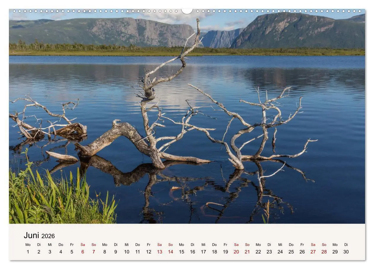 Bild: 9783457731611 | Neufundland Impressionen 2026 (hochwertiger Premium Wandkalender...