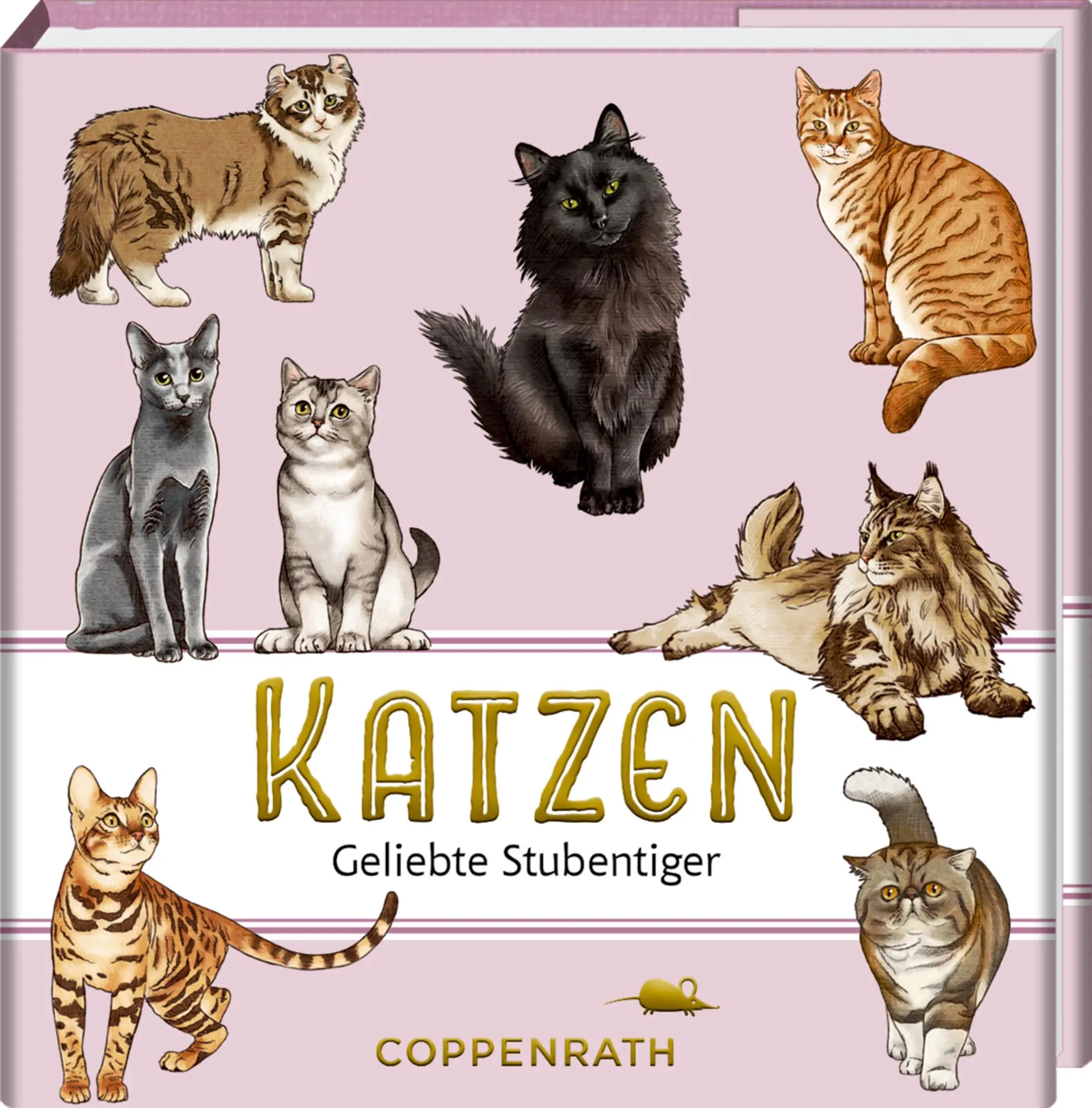 Cover: 9783649651611 | Katzen | Geliebte Stubentiger | Julia Gerigk | Buch | BiblioPhilia