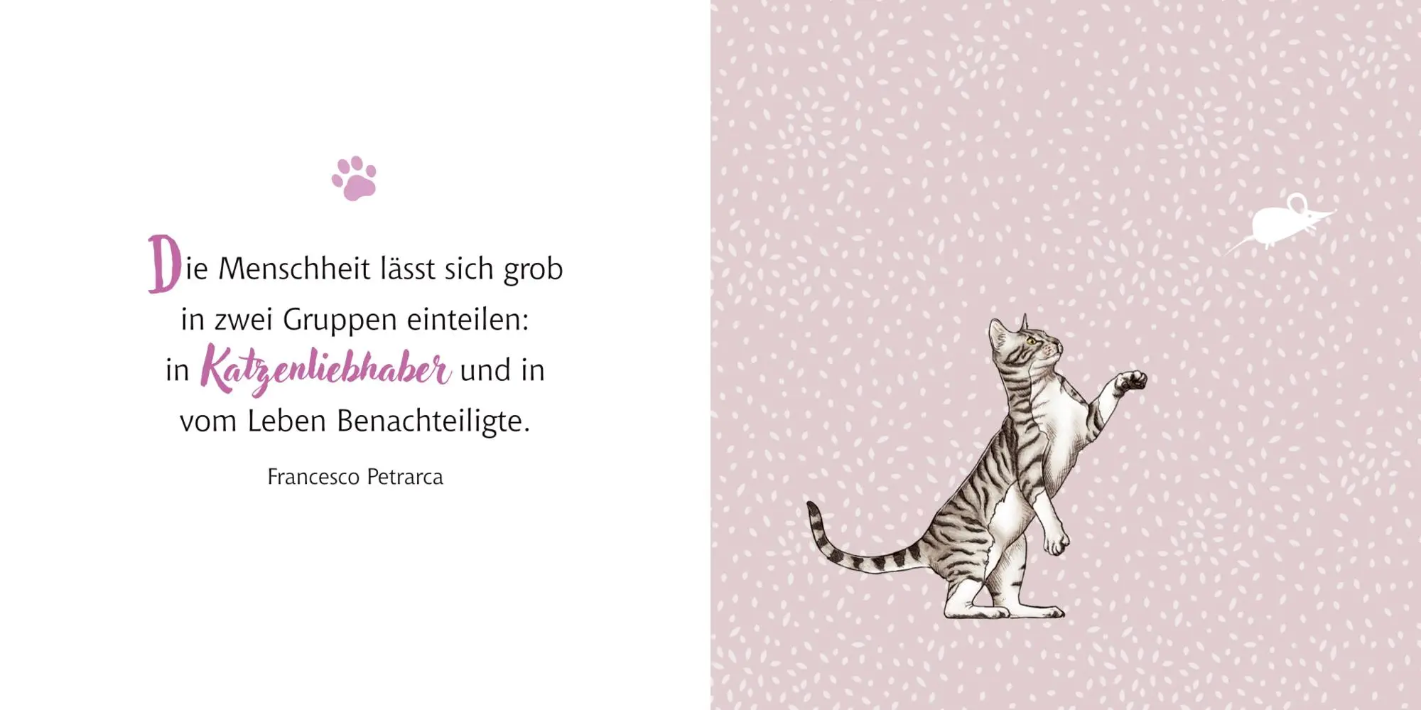 Bild: 9783649651611 | Katzen | Geliebte Stubentiger | Julia Gerigk | Buch | BiblioPhilia