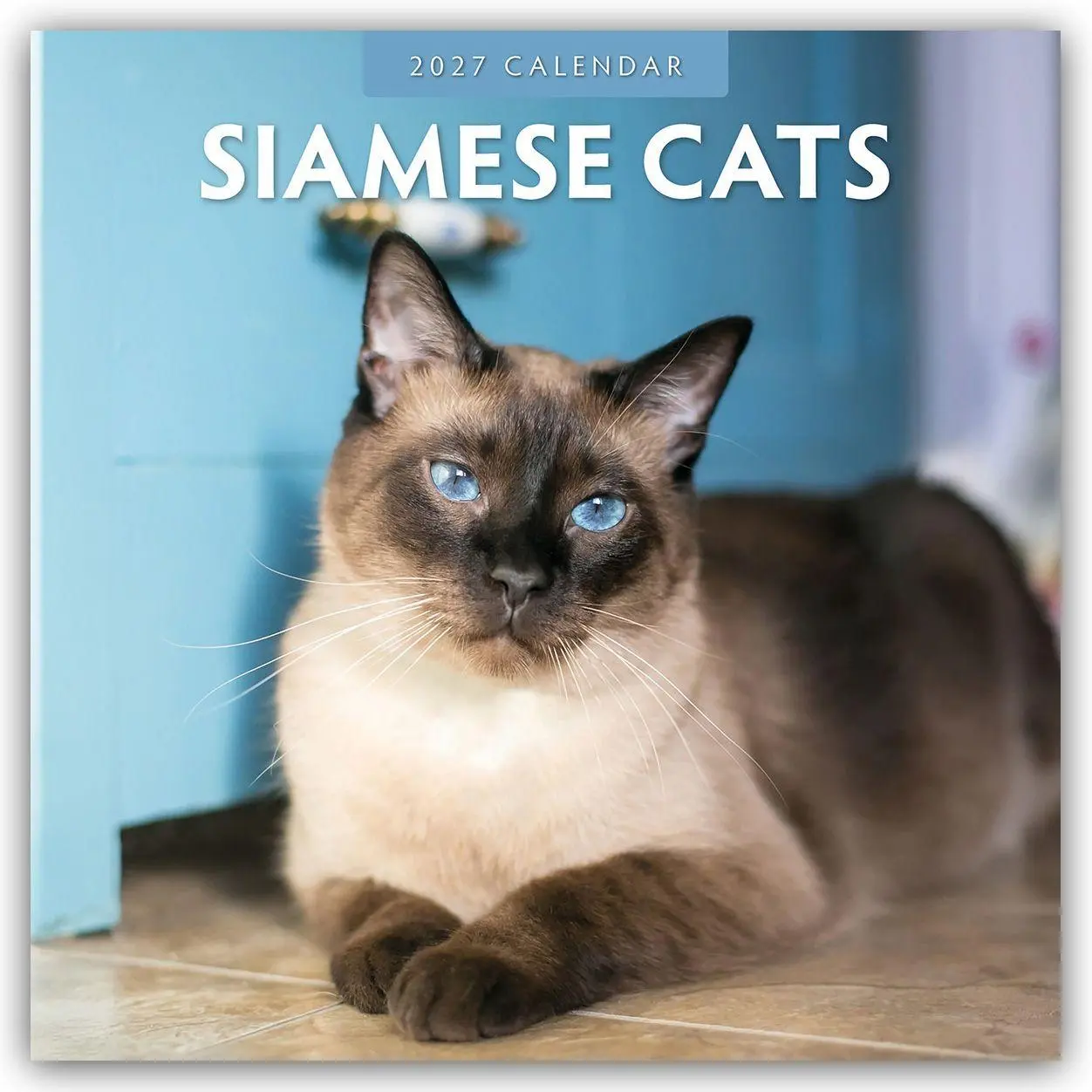 Cover: 9781837011711 | Siamese Cats - Siamkatzen - Siamesische Katzen 2027 -...
