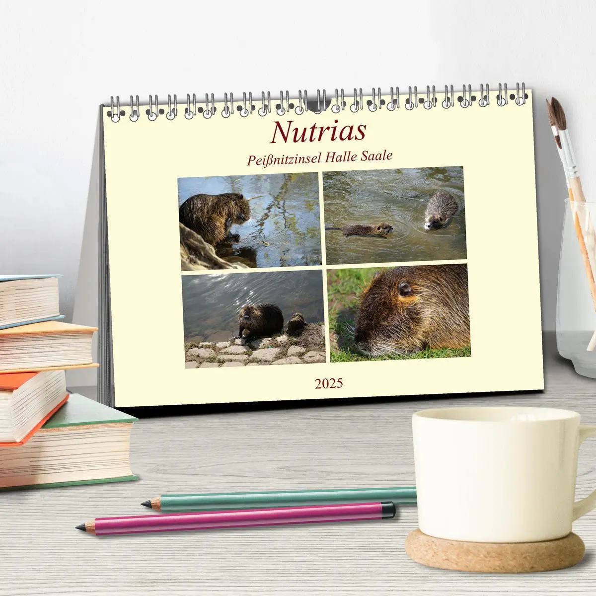 Bild: 9783435251711 | Nutrias Peißnitzinsel Halle Saale (Tischkalender 2025 DIN A5 quer),...