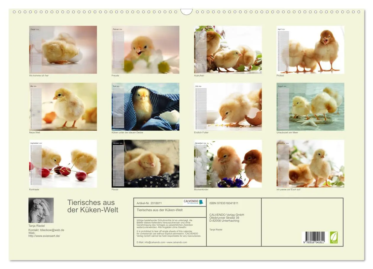 Bild: 9783516041811 | Tierisches aus der Küken-Welt (Wandkalender 2026 DIN A2 quer),...