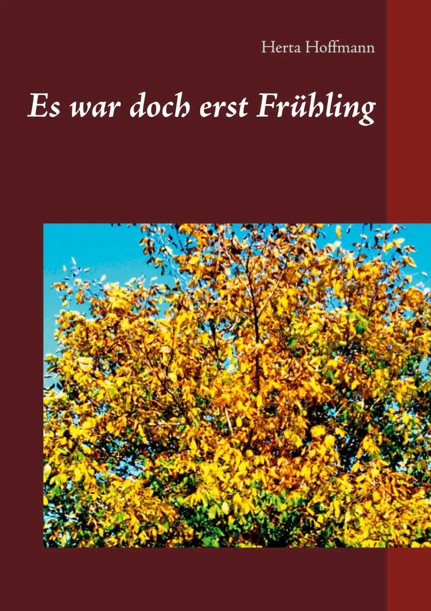 Cover: 9783751971911 | Es war doch erst Frühling | Herta Hoffmann | Taschenbuch | 188 S.
