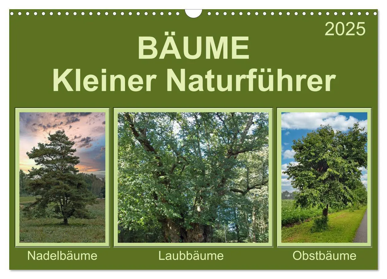 Cover: 9783435122011 | Bäume Kleiner Naturführer (Wandkalender 2025 DIN A3 quer), CALVENDO...