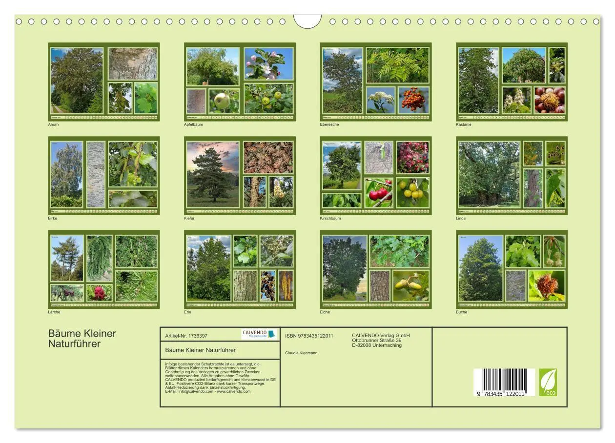 Bild: 9783435122011 | Bäume Kleiner Naturführer (Wandkalender 2025 DIN A3 quer), CALVENDO...