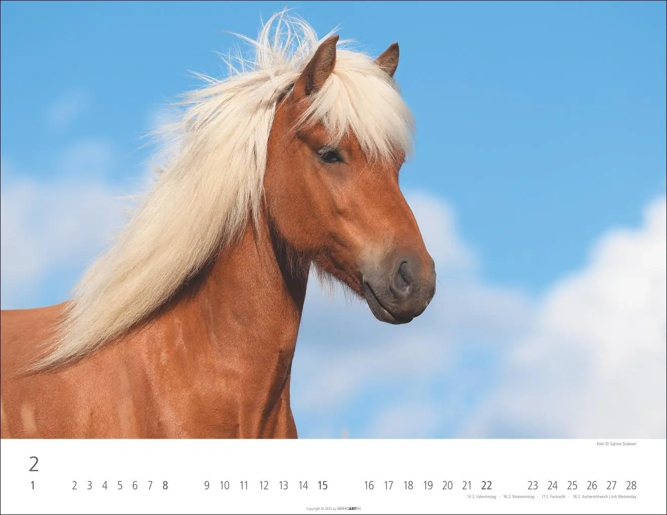 Bild: 9783839902011 | Islandpferde Kalender 2026 | Sabine Stuewer | Kalender | Spiralbindung