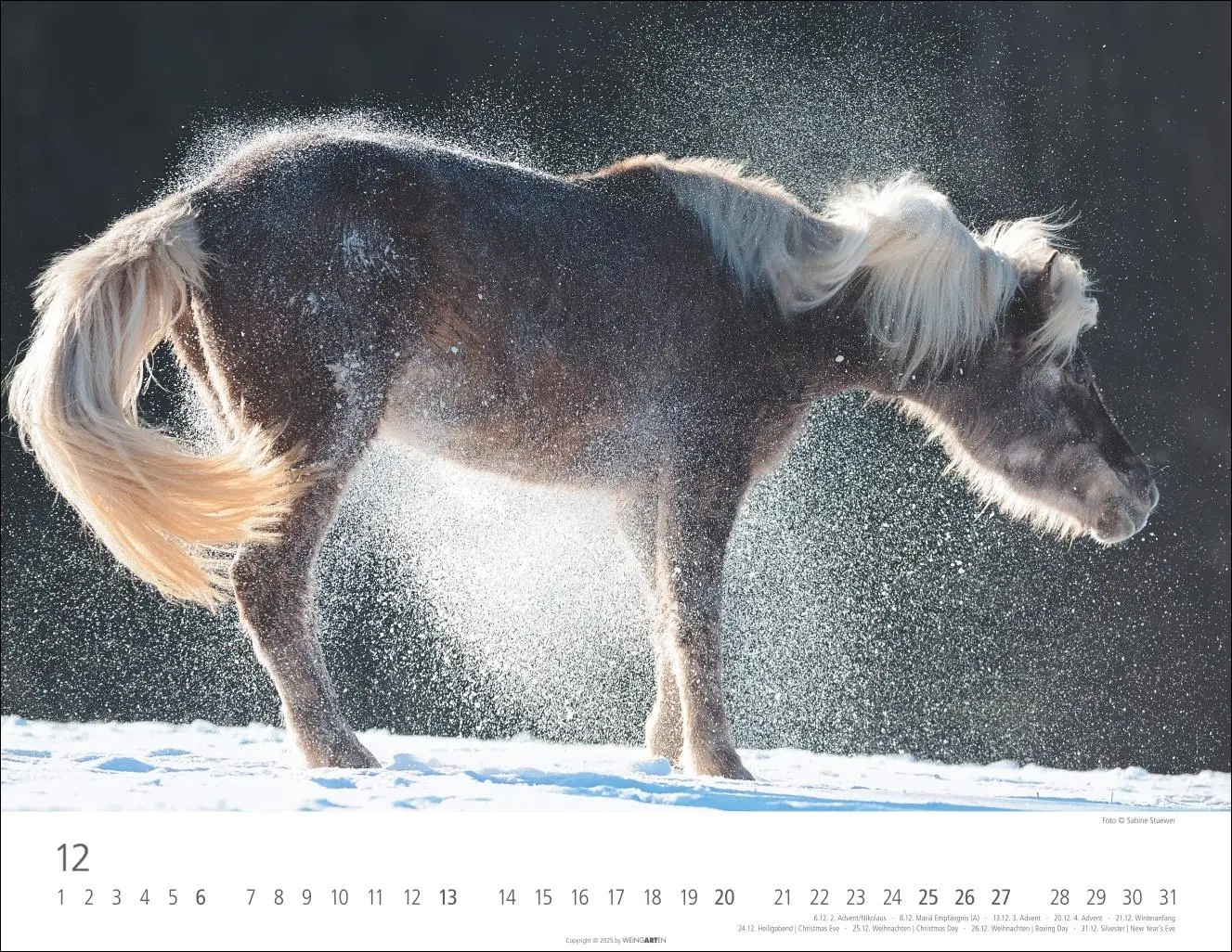 Bild: 9783839902011 | Islandpferde Kalender 2026 | Sabine Stuewer | Kalender | Spiralbindung