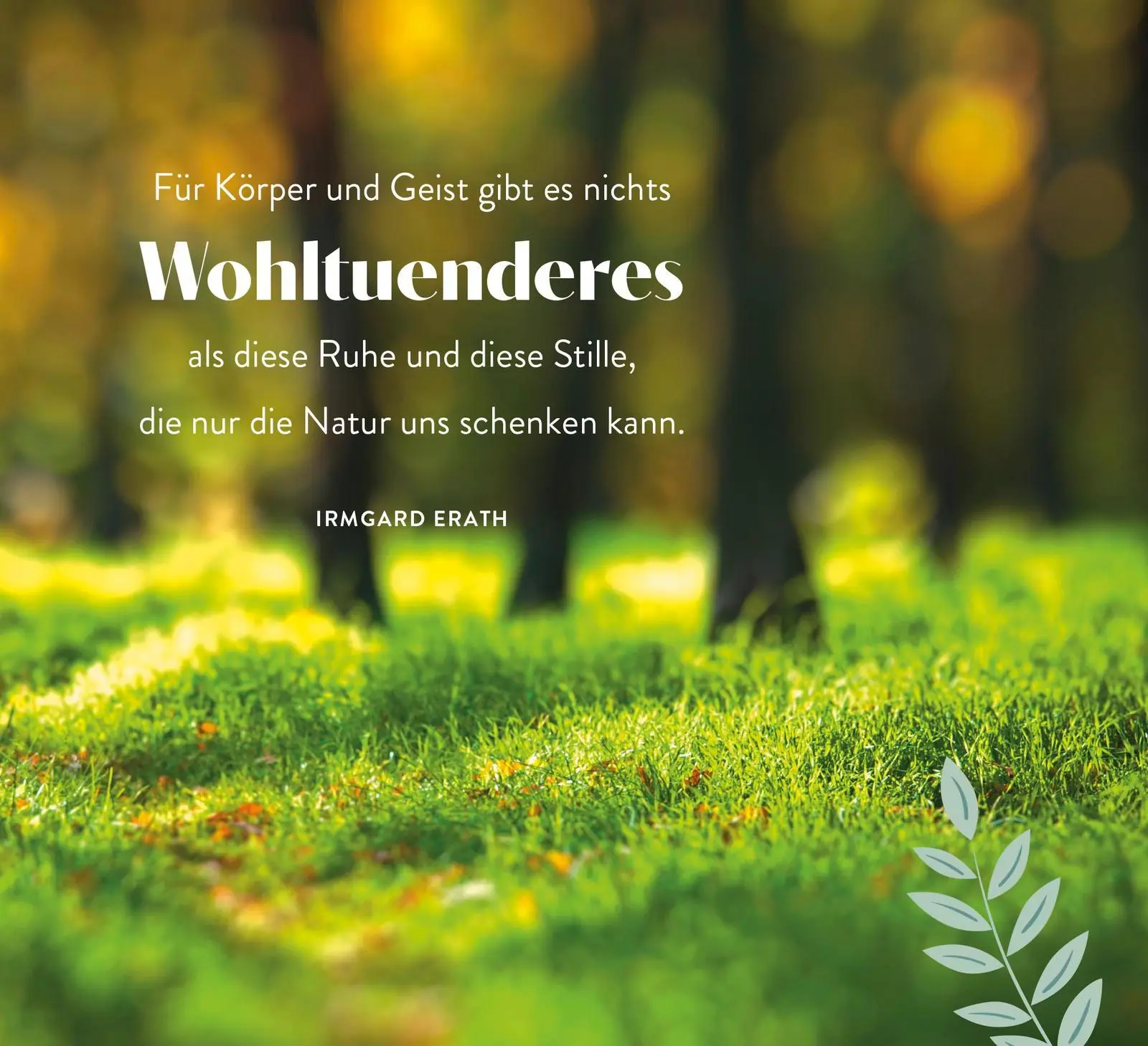 Bild: 9783848502011 | Sonnenschein für jeden Tag | Groh Verlag | Taschenbuch | Spiralbindung