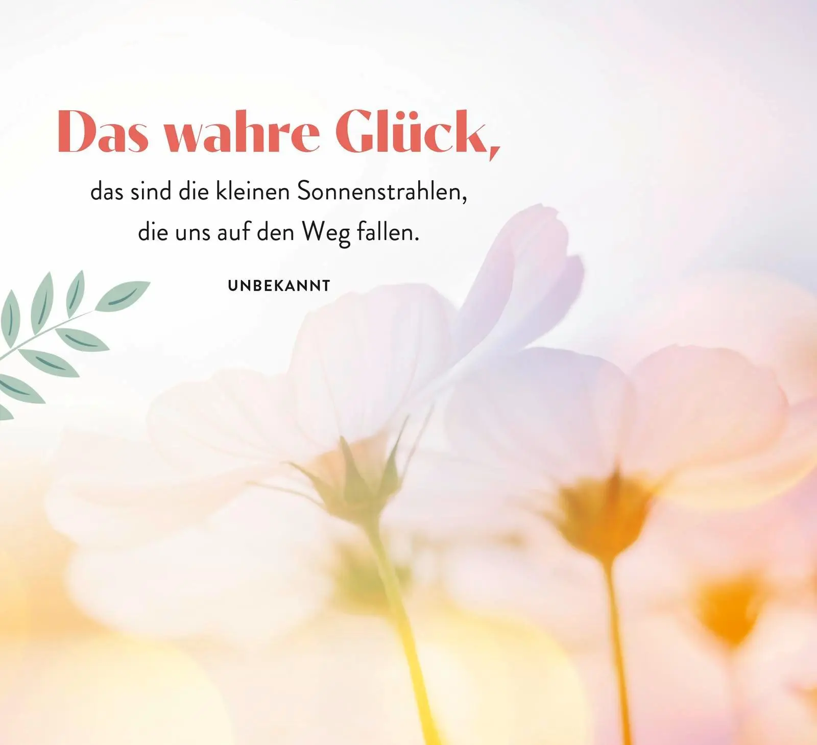 Bild: 9783848502011 | Sonnenschein für jeden Tag | Groh Verlag | Taschenbuch | Spiralbindung