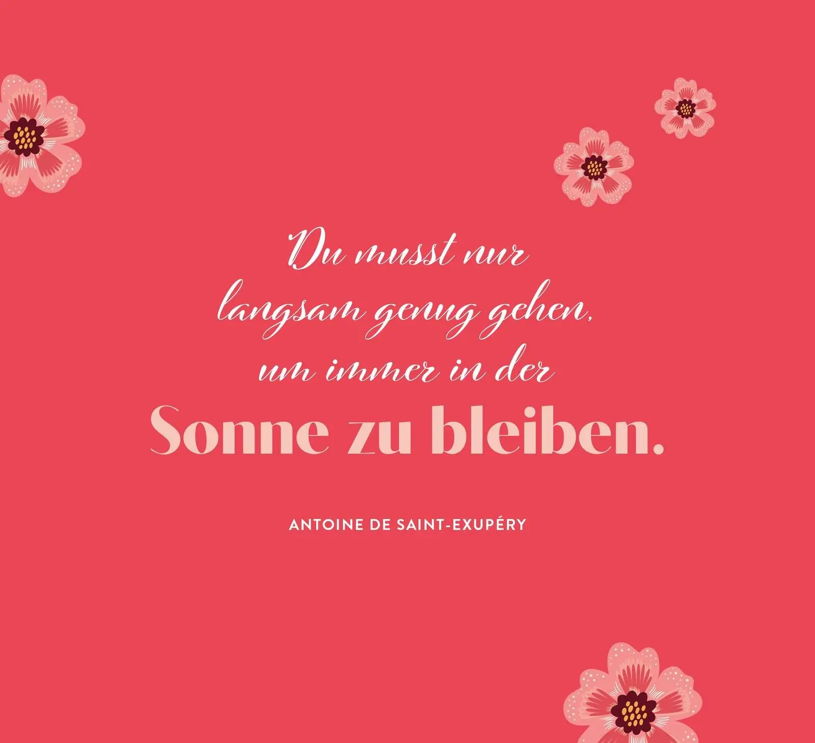 Bild: 9783848502011 | Sonnenschein für jeden Tag | Groh Verlag | Taschenbuch | Spiralbindung