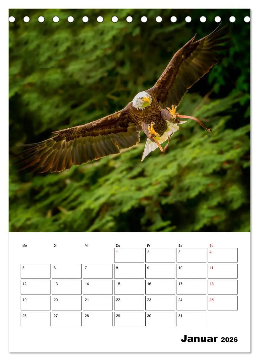 Bild: 9783516462111 | Raub- und Greifvögel im Flug (Tischkalender 2026 DIN A5 hoch),...