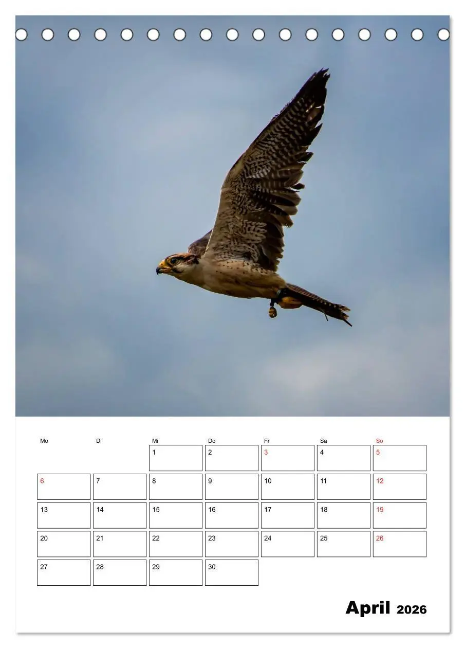 Bild: 9783516462111 | Raub- und Greifvögel im Flug (Tischkalender 2026 DIN A5 hoch),...