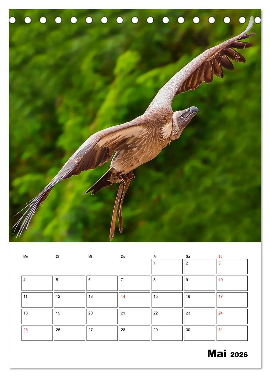 Bild: 9783516462111 | Raub- und Greifvögel im Flug (Tischkalender 2026 DIN A5 hoch),...