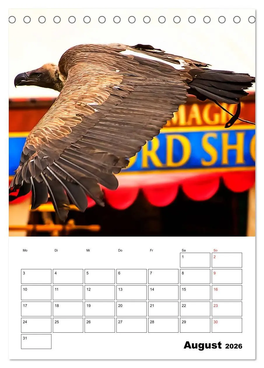 Bild: 9783516462111 | Raub- und Greifvögel im Flug (Tischkalender 2026 DIN A5 hoch),...