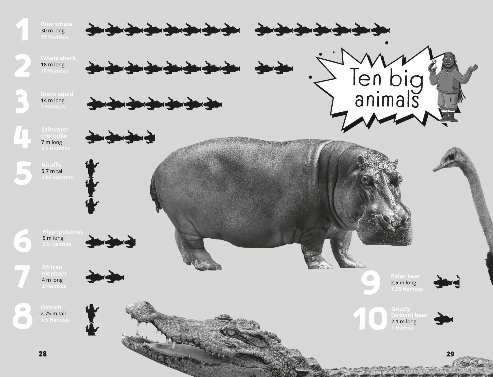 Bild: 9781035032211 | Hamza's Wild World | The essential book for animal fans | Hamza Yassin