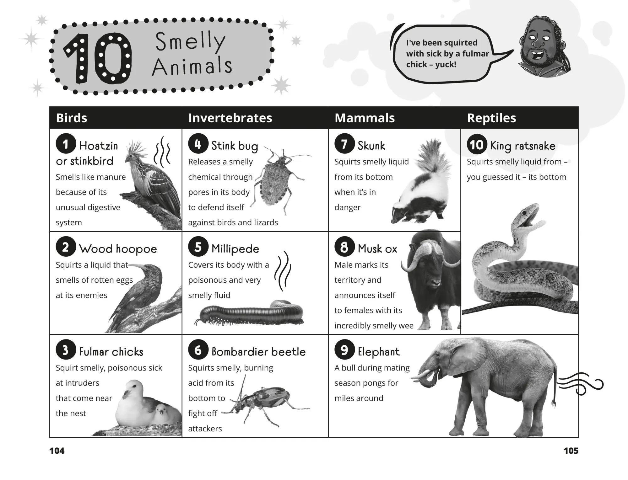 Bild: 9781035032211 | Hamza's Wild World | The essential book for animal fans | Hamza Yassin