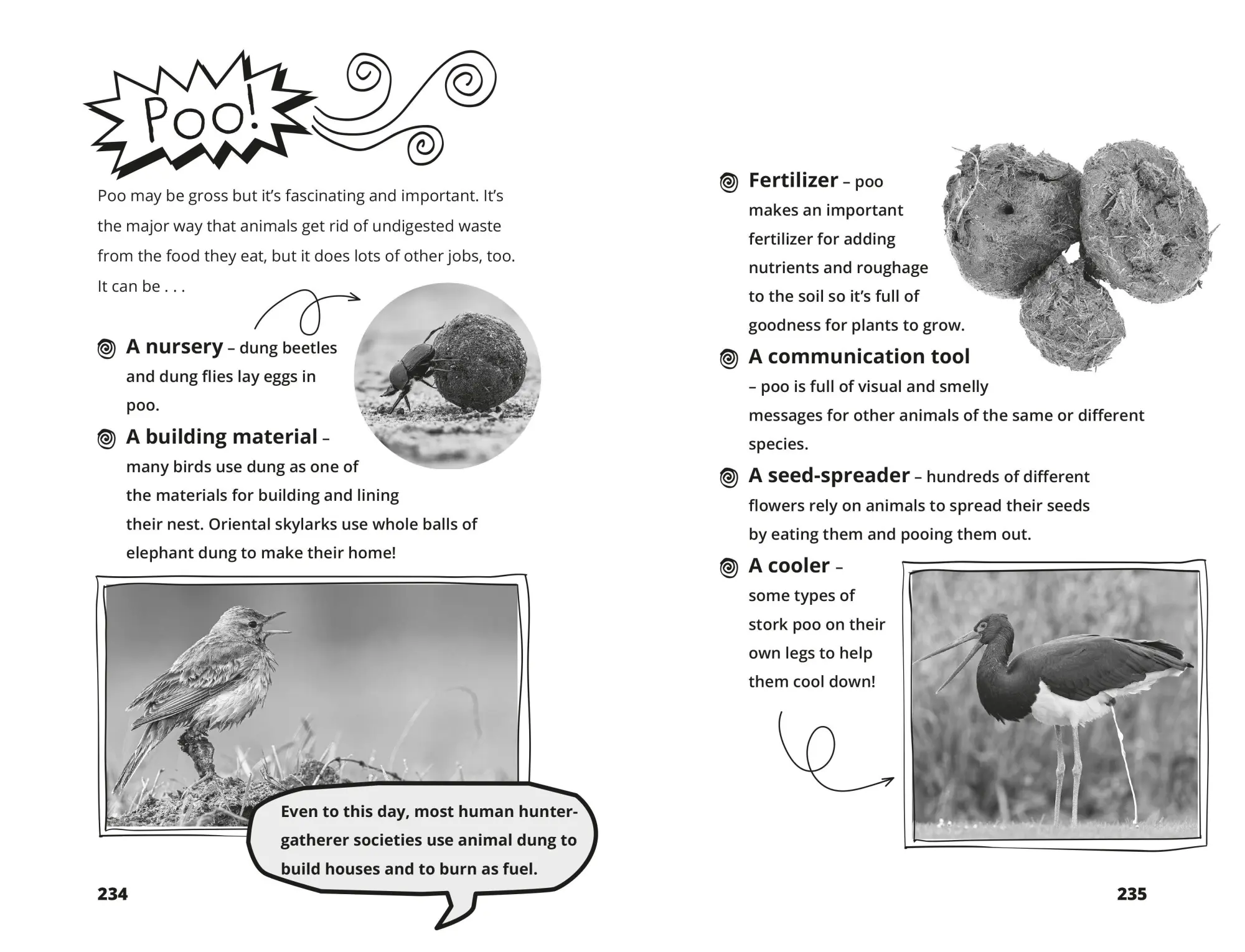 Bild: 9781035032211 | Hamza's Wild World | The essential book for animal fans | Hamza Yassin