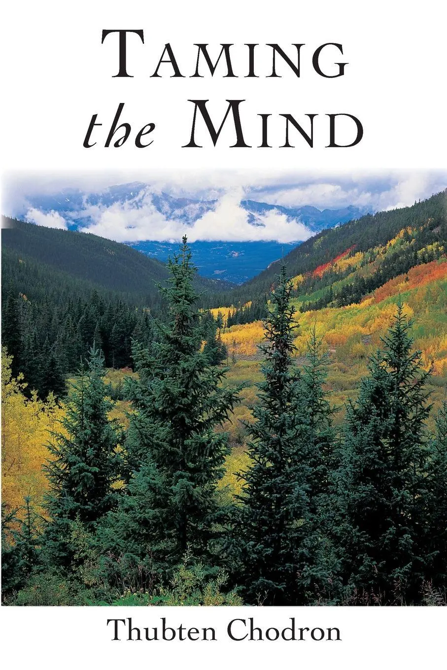 Cover: 9781559392211 | Taming the Mind | Thubten Chodron | Taschenbuch | Englisch | 2004