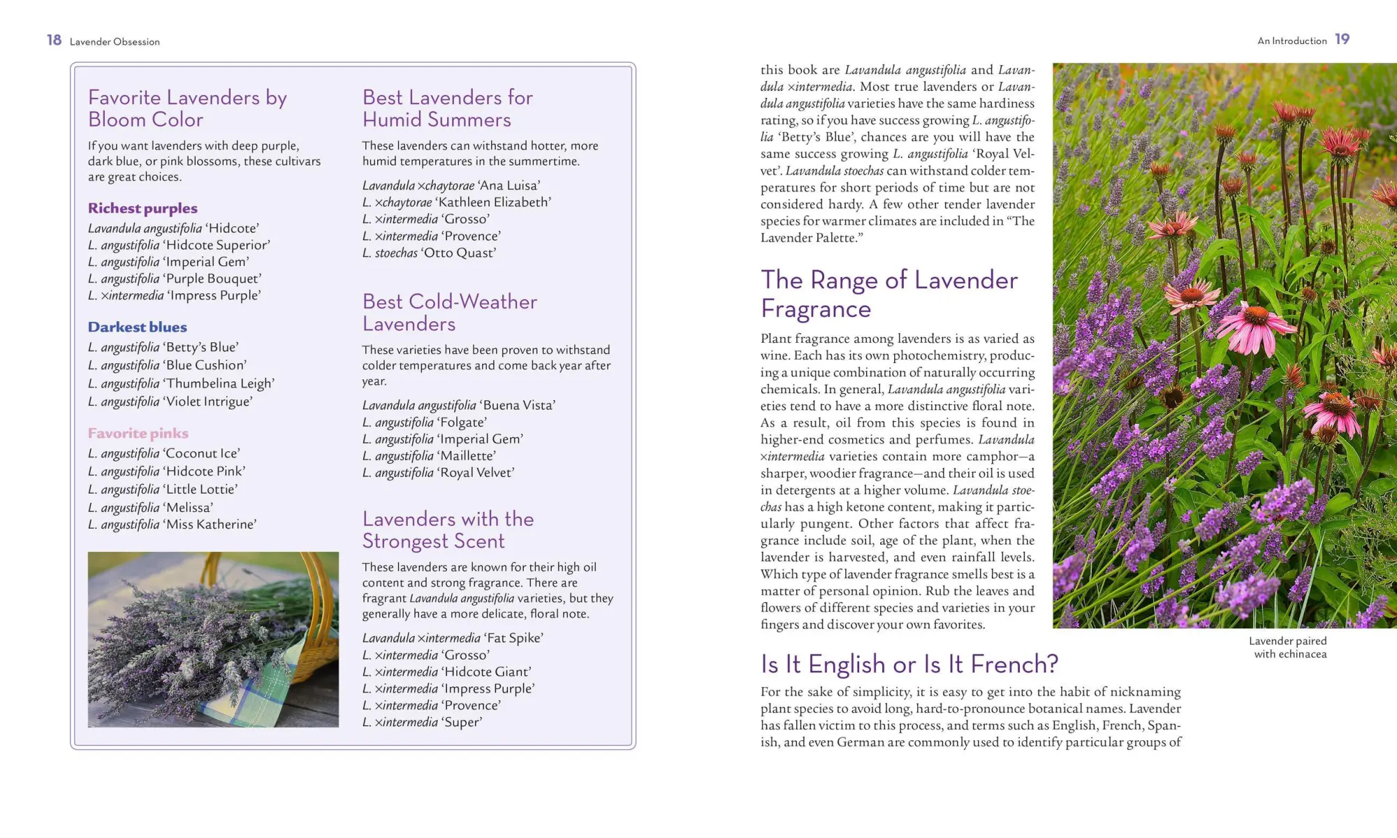 Bild: 9781604692211 | The Lavender Lover's Handbook | Sarah Berringer Bader | Buch | 2012