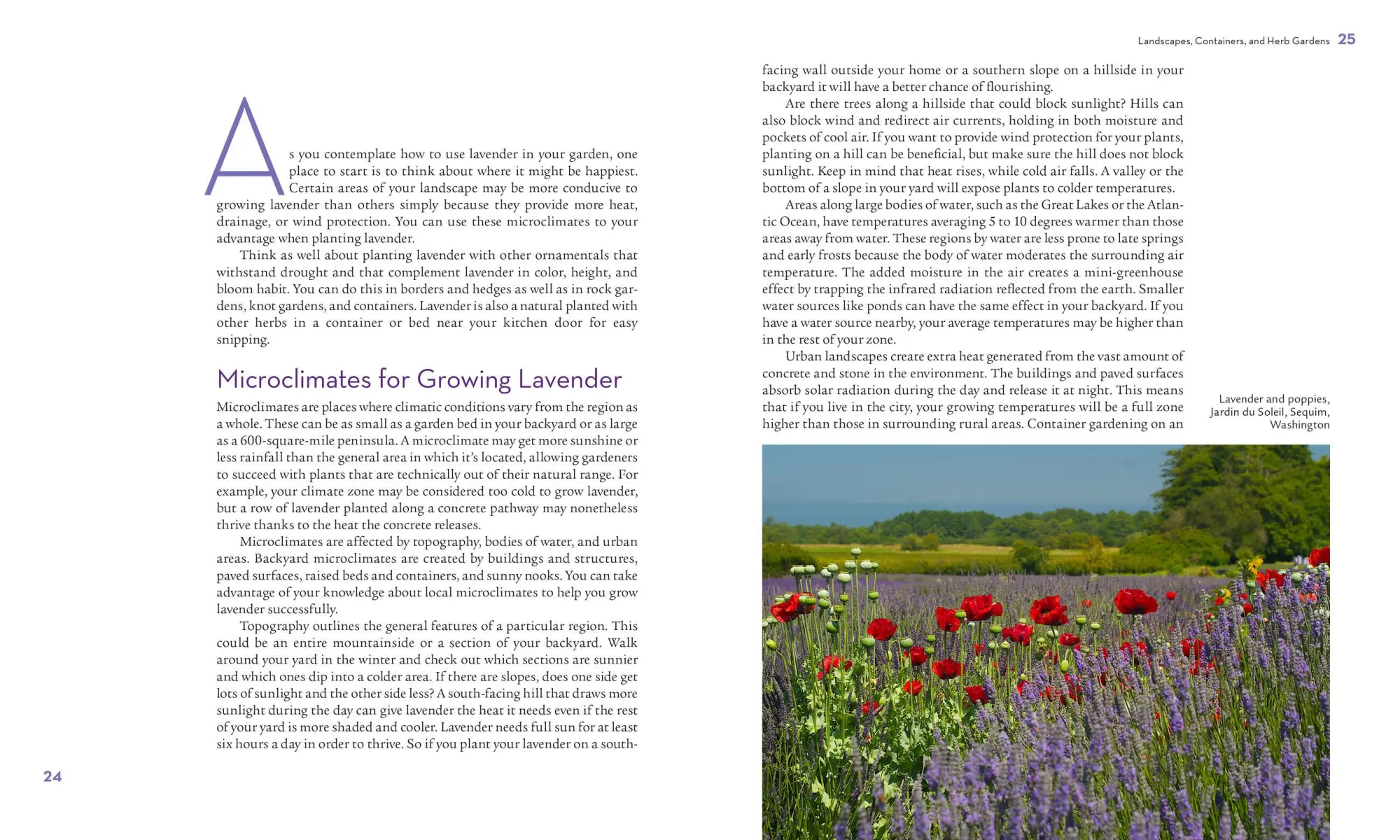 Bild: 9781604692211 | The Lavender Lover's Handbook | Sarah Berringer Bader | Buch | 2012
