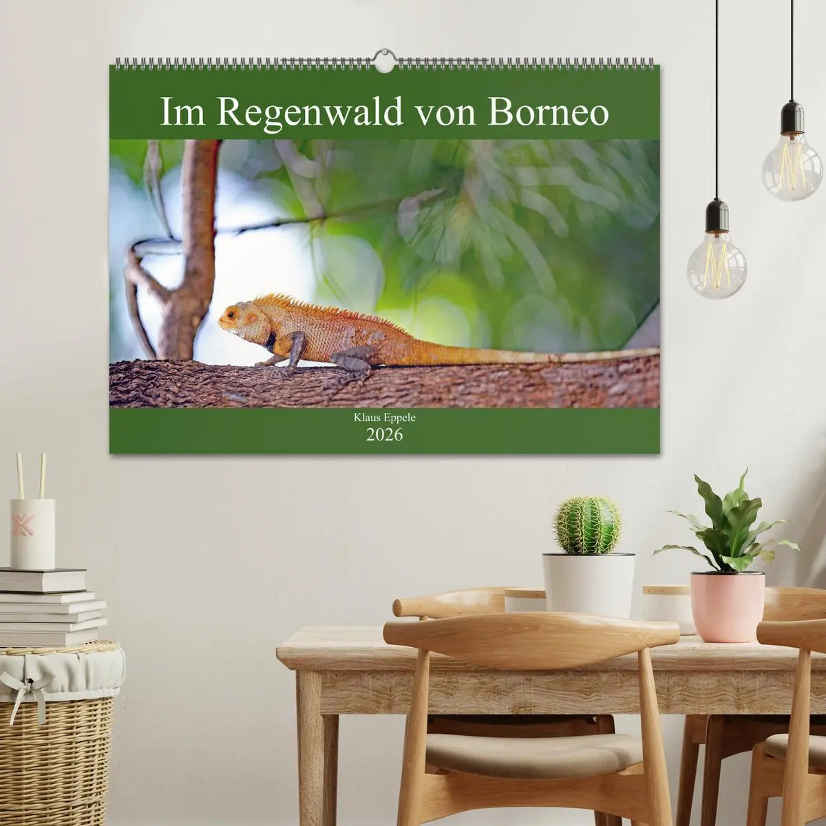 Bild: 9783457742211 | Im Regenwald von Borneo (Wandkalender 2026 DIN A2 quer), CALVENDO...